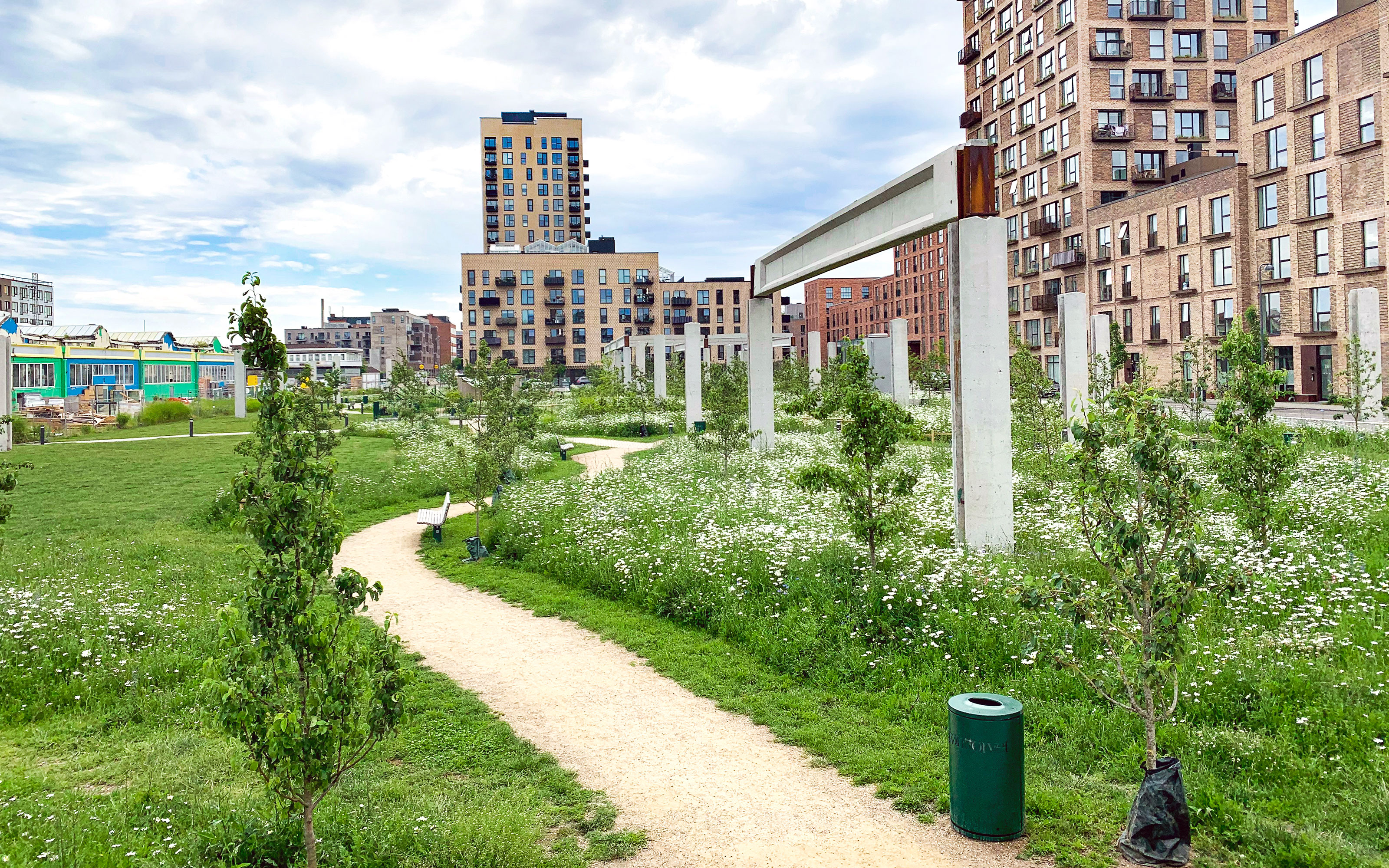 A winding path through meadows with small trees